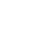 Dragon Dragon